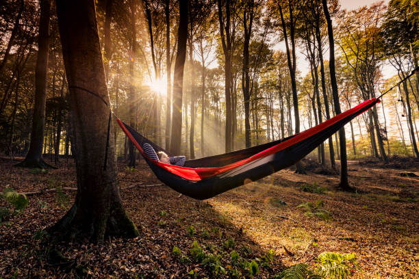 istock Hammock in the woods 1073746922