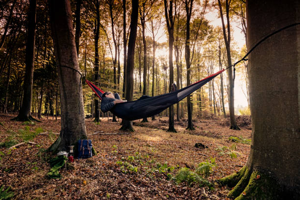 istock Man relaxing in a hammock in the woods 1073748750