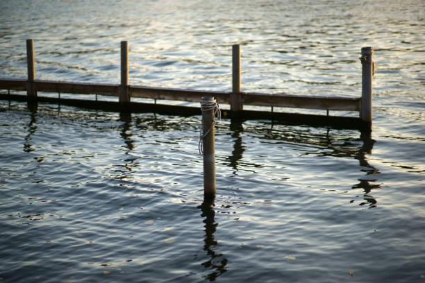 istock Traps in the lake 1073761178