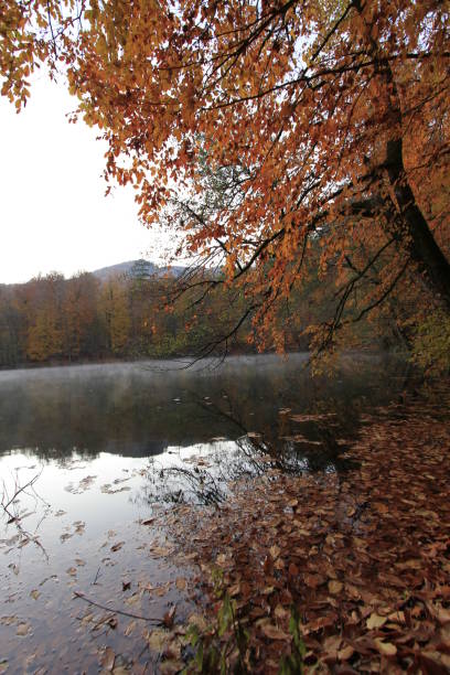 istock Bolu Seven Lakes National Park 1073762862