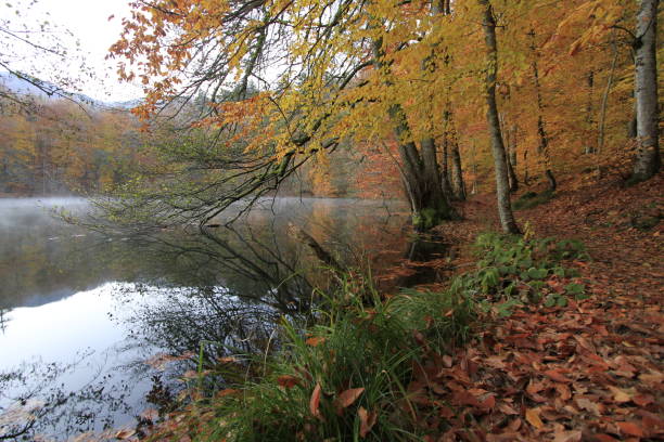 istock Bolu Seven Lakes National Park 1073763536