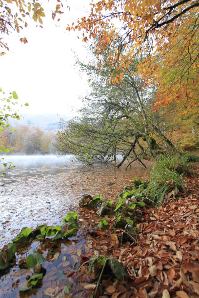 istock Bolu Seven Lakes National Park 1073765984