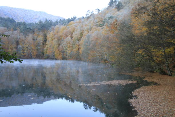 istock Bolu Seven Lakes National Park 1073766636