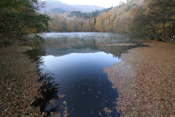 istock Bolu Seven Lakes National Park 1073767876