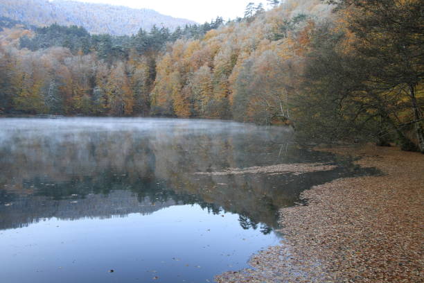 istock Bolu Seven Lakes National Park 1073768258