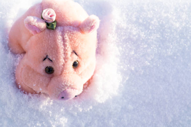 istock Toy pink pig on white snow. Copy space. 1073779038
