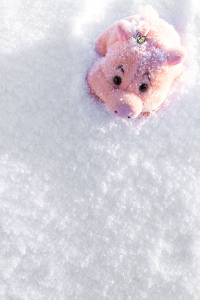 istock Toy pink pig on white snow. Copy space. 1073779096
