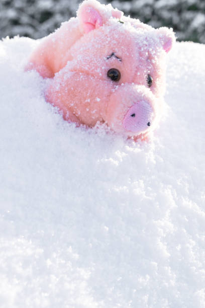 istock Toy pink pig on white snow. Copy space. 2019 symbol 1073779176