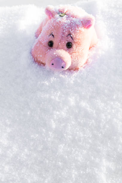 istock Toy pink pig on white snow. Copy space. 1073779542