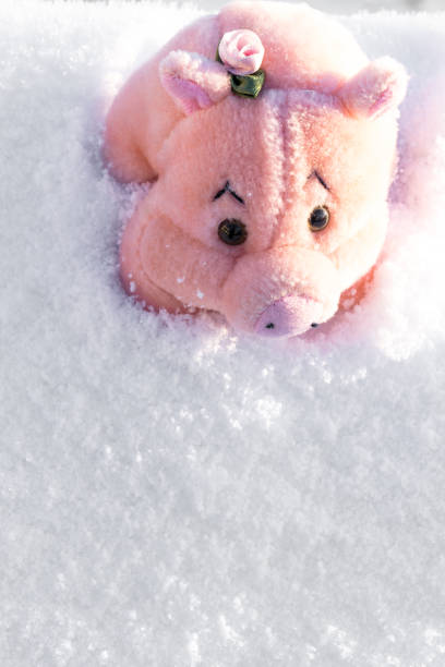 istock Toy pink pig on white snow. Copy space. 1073779652