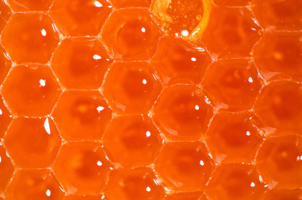 istock Extreme macro, close up. Beekeeping product. Bright orange honeycombs, flowing fragrant fresh honey. 1073782522