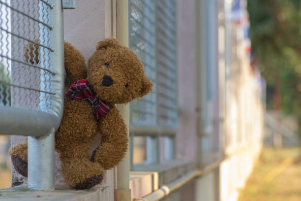 istock Teddy bear standing beside the fence. 1073787414