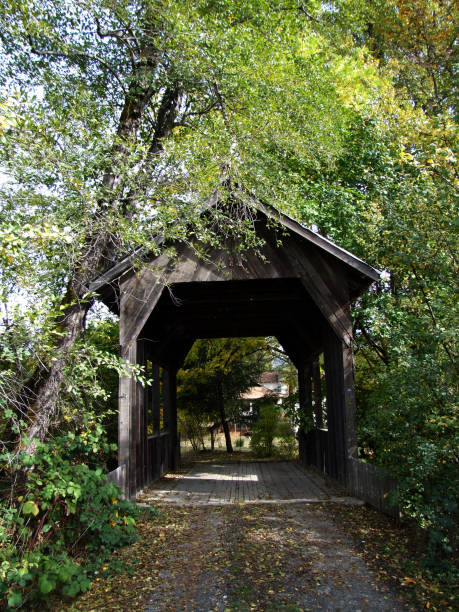 istock Wooden Covered Bridge in Wolf Creek, Oregon 1073797516