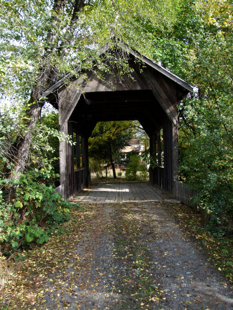 istock Wooden Covered Bridge in Wolf Creek, Oregon 1073798850