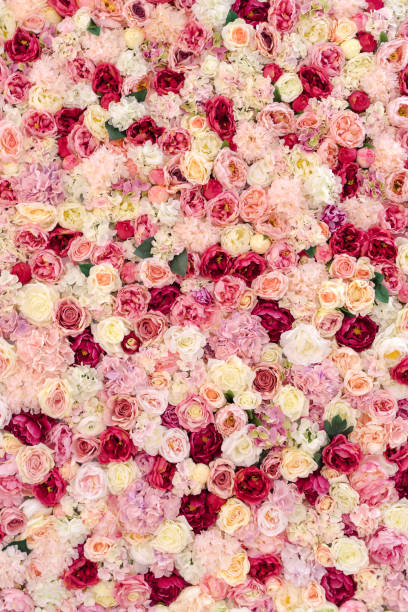 istock Many various pink, red and white flowers abstract pattern backgrounds 1073799832