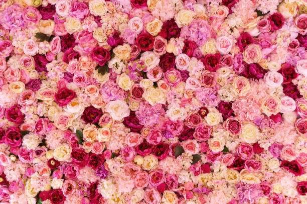 istock Many various pink, red and white flowers abstract pattern backgrounds 1073799864
