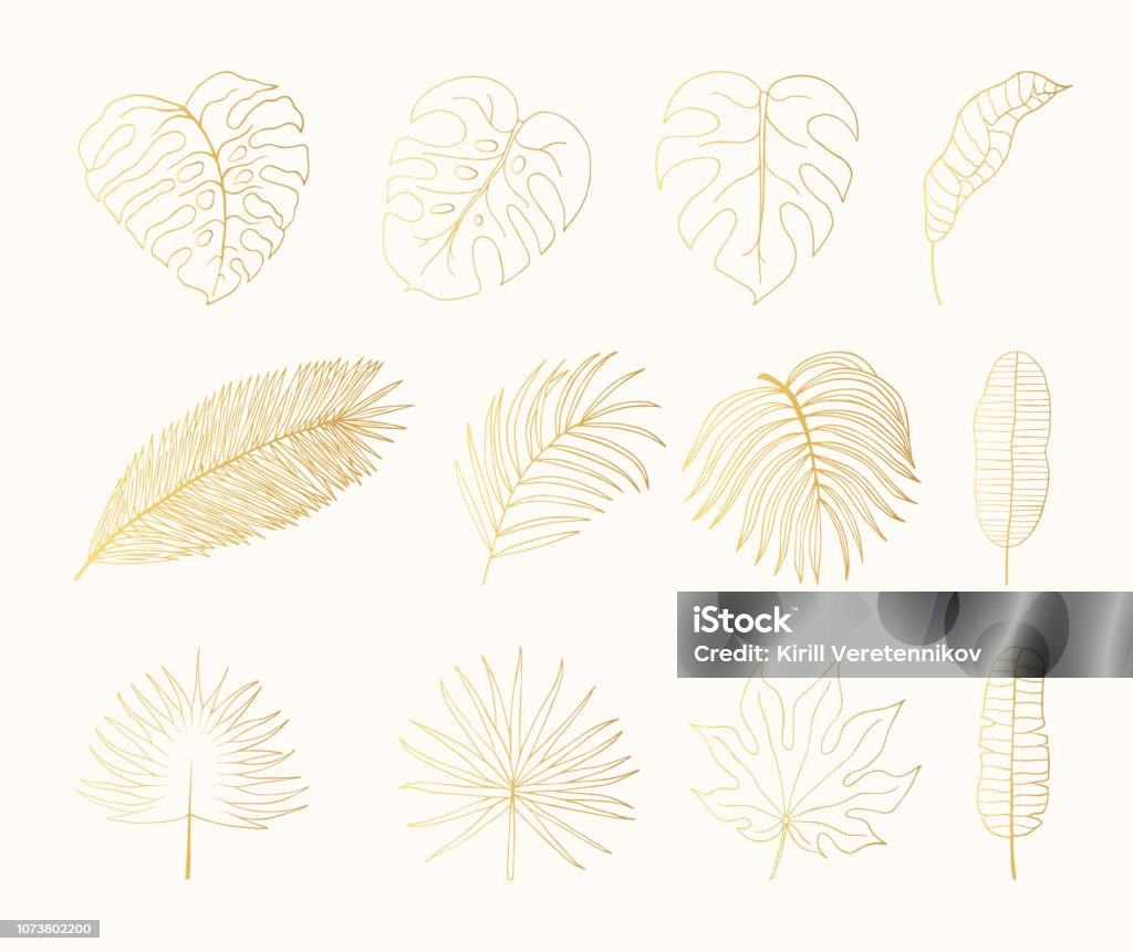 Hand drawn golden tropical rainforest leaves. Aralia, monstera, banana, palm leaf botanical gold leaf. Vector isolated illustration. Leaf stock vector