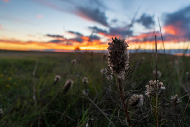 istock Sunset at Tallgrass Prairie National Preserve 1073804014