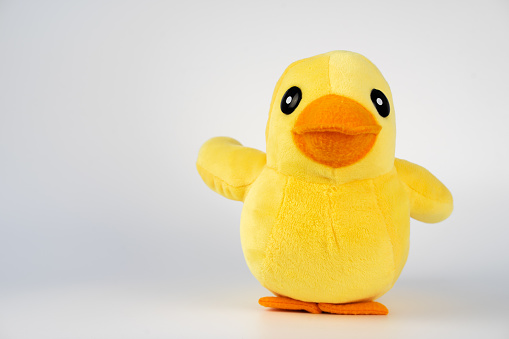 Yellow plush duck toy isolated on white.