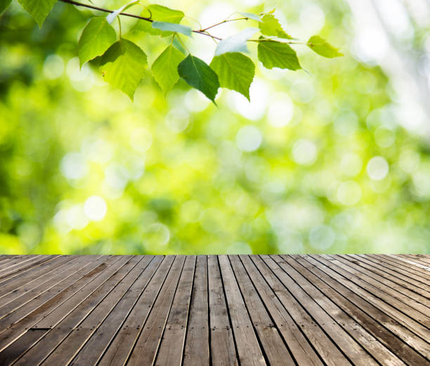 istock Fresh green leaves for background 1073821934