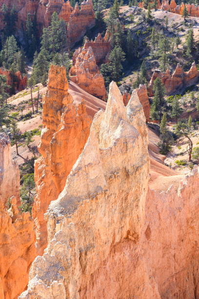 istock Bryce Canyon National Park, Utah-USA 1073828684