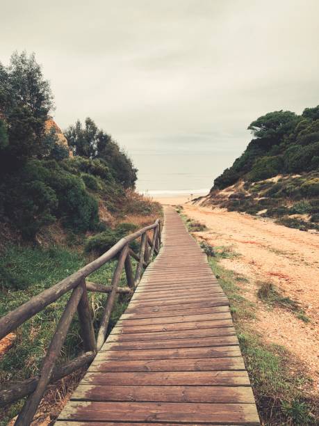 istock Wooden path leading to the beach 1073833482