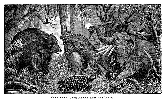 Cave bear with cave hyena and mastodons - Scanned 1890 Engraving