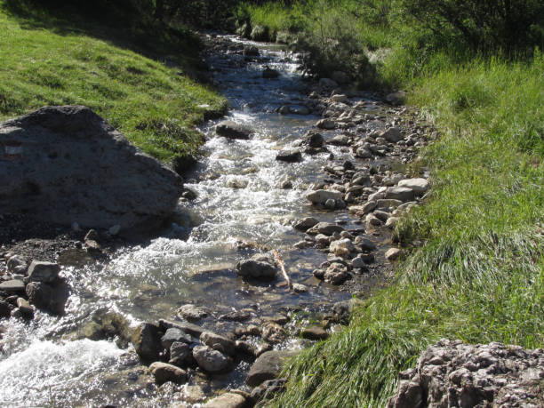 istock Water flowing and splashing over rocks in a mountain river stream 1073857530