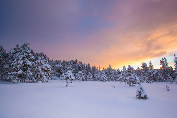 istock beautiful winter landscape snow tree 1073858208