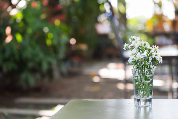 istock White flower on table with blurred nature background, copy space 1073859840
