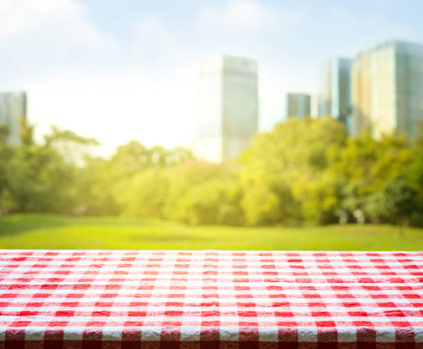 Red checkered tablecloth texture with park in morning