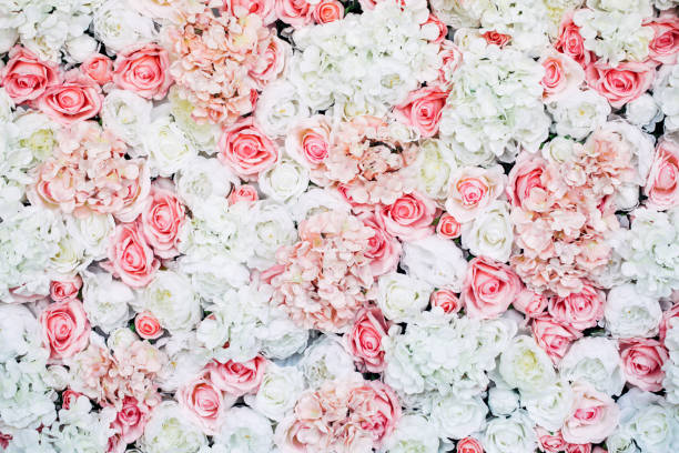 Photo of floral wall Photo of floral wall bed of roses stock pictures, royalty-free photos & images