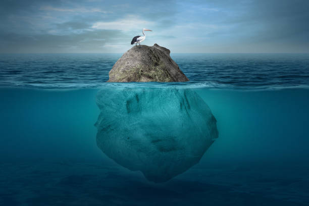 istock Beautiful underwater scenery with a small island above which is crested by storks and under the surface of the water in tropical turquoise sea waters. 1073878578