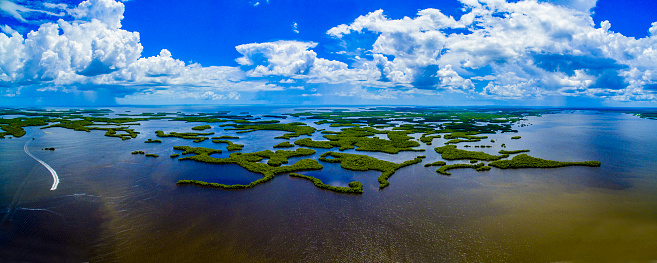 Ten Thousand Islands NP, Florida