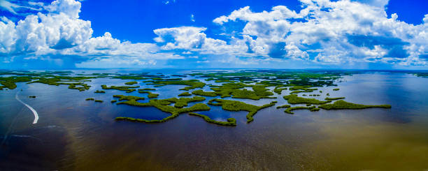 Ten Thousand Islands National Park Panoramic,Florida stock photo