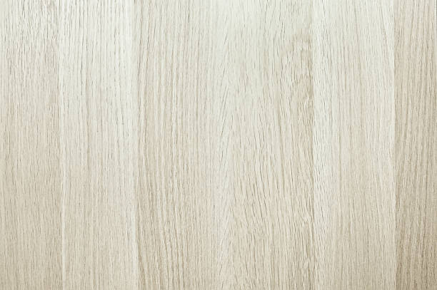 istock Wooden white door background texture 1073883028