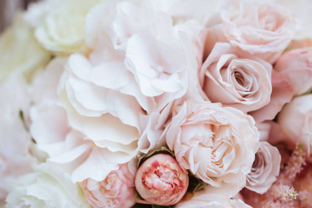 istock Wedding flowers, bridal bouquet closeup. 1073899510