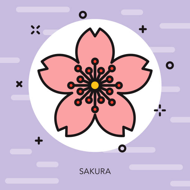 Sakura Thin Line Japan Icon A flat design/thin line icon on a colored background. Color swatches are global so it’s easy to edit and change the colors. File is built in CMYK for optimal printing and the background is on a separate layer. sakura matsuri stock illustrations