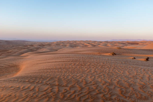 Sand dunes in Sharqiya Sands, also known as Wahiba Sands, Oman