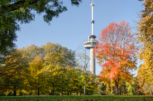 Rotterdam, The Netherlands, November 8, 2018: view of one of the lawns in The Park on a sunny day in autumn, surrounded by various colorful tree and with city icon Euromast in the background