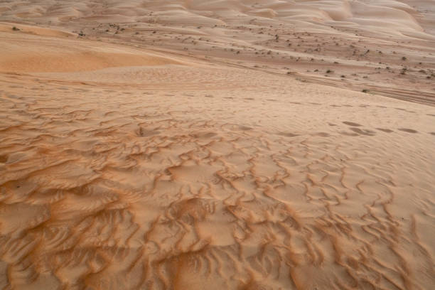 Sand dunes in Sharqiya Sands, also known as Wahiba Sands, Oman