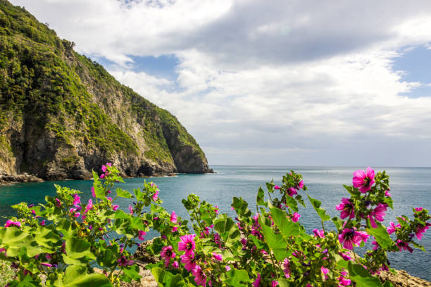 istock Riomaggiore in Cinque Terre in Italy 1073911192