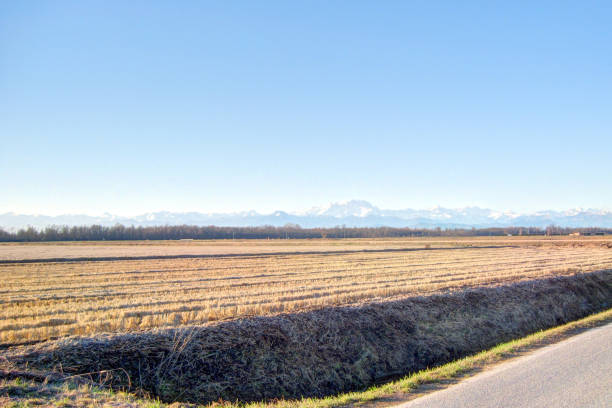 eine landschaft von feldinhalten ernteguts neben einem künstlichen kanal mit monte rosa-massiv im hintergrund, in bellinzago, piemont, italien - conutryside stock-fotos und bilder