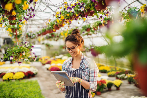 Young happy Caucasian female florist dressed in apron using tablet for selling flowers. Potted flowers all around. Young happy Caucasian female florist dressed in apron using tablet for selling flowers. Potted flowers all around. garden accessories stock pictures, royalty-free photos & images