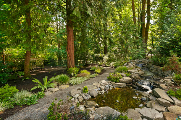 istock Lush Landscape and Water Feature 1073929756