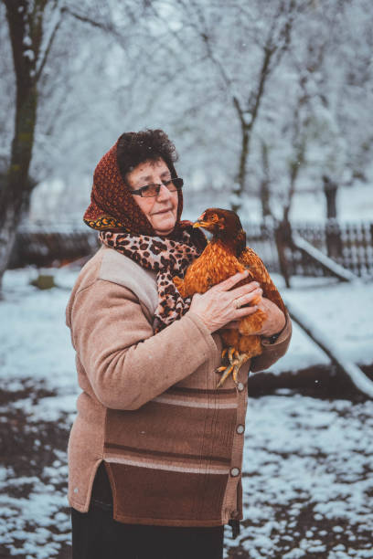 istock Senior woman with her chicken. Flying. 1073941888