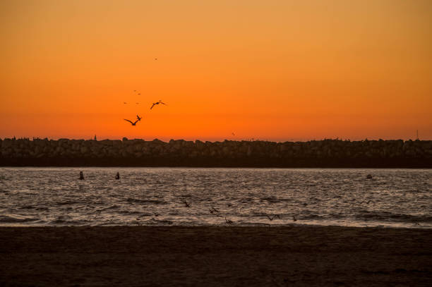 istock Sunset in Marina del Rey 1073959728