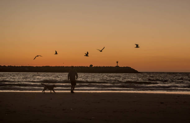 istock Sunset in Marina del Rey 1073959760