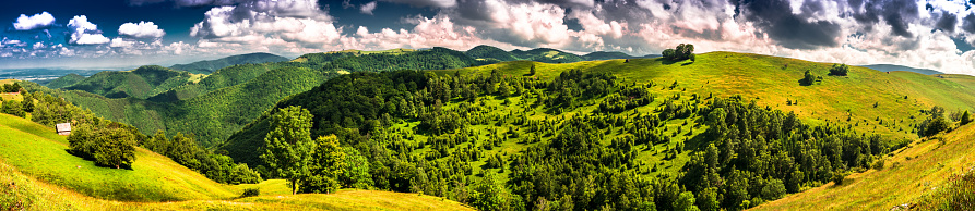 Forested mountains peaks and grazing. Paltinis resort area, Cindrel mountains, Romania, 1077m.