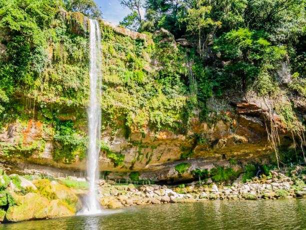 istock Amazing Misol Ha waterfalls, Chiapas, Mexico 1073965476